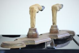 Taxidermy 2 hoof coat hanger