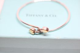 Tiffany & Co bangle set in silver with 18ct Gold i