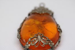 Amber style pendant with bug inside with associate