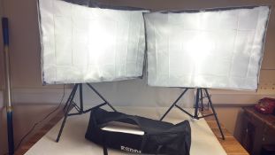 ESDDI Softbox Studio Light Kit (Pair with Stands and Carry Bag)