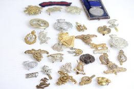 A large collection of military cap badges. Various