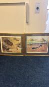 2 Framed Natural History Prints of Water Vole and Mole (55.5cm x 63.5cm including frame)