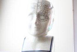 Large phrenology head