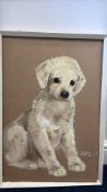Pollyanna Pickering: pastel portrait of a puppy, signed and framed (60cm x 42.5cm inc frame)