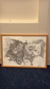 Signed Graphite Drawing of Two Kittens (31cm x 43cm including frame)