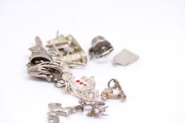 12 Silver charms Weight 37.4g