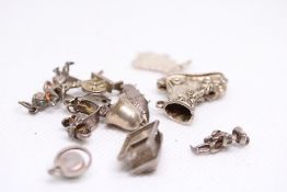 11 silver charms Weight 23g