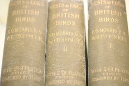 Nest & Eggs of British birds F.O.Morris B.A W.B. T
