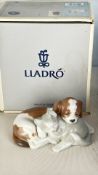 Lladro porcelain figure of a puppy and kitten, Â©