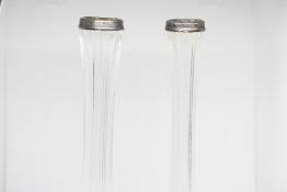 Pair of silver rimmed bud vases