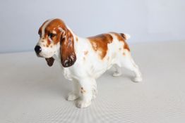 Royal Doulton large cocker spaniel HN1002