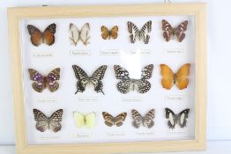 14 framed butterflies