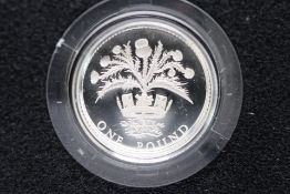 United Kingdom silver proof 1 pound coin limited e