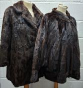 Two vintage fur coats comprising a chestnut brown ermine coat approx 42" chest and a chestnut