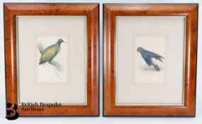 19th Century Bird Prints