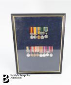 Framed Collection of Military Miniatures
