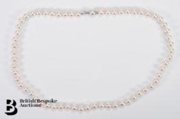 Pearl Necklace