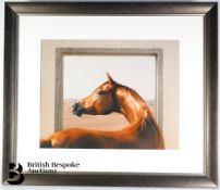 Tim Flach Print - Arab Horse