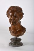 A Female Bust (Venus)