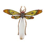 An Edwardian enamel, mother-of-pearl and gem set dragonfly brooch