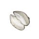 A Tiffany silver and enamelled mussel shell pillbox - Image 3 of 3