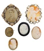 A collection of Victorian cameos