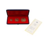 An 18ct gold 25 Anniversary Desert War Commemorative medal set