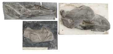 John Stephen Skelton MBE FRBS (British, 1923-1999)