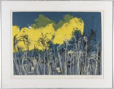 Daphne Paley (20th/21st century)