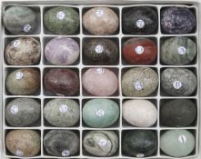 A box of twenty-five specimen eggs