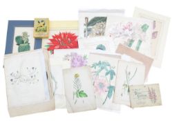 A collection of botanical book plates and drawings