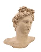A large plaster bust of Apollo Belvedere