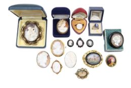 A large collection of cameo and other brooches