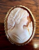 CAMEO BROOCH WITHIN GOLD COLOURED FRAME, TOTAL WEIGHT APPROX 6g
