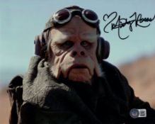 Star Wars The Mandalorian colour 8x10 photo signed by actor Misty Rosas as 'Kuiil', tough
