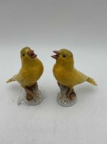 Two Meissen models of canaries, crossed swords marks, 10cm high Restoration to beaks of each bird