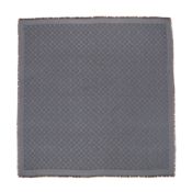 Louis Vuitton Carbone Classic Monogram Shawl