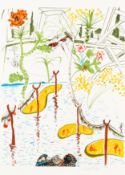 § Salvador Dali (Spanish, 1904-1989) Biological Garden [Field 75-11]