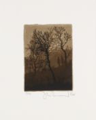§ Stanley Donwood (British, b.1968) Low Winter Sun