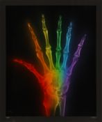 § SHOK-1 (British, b.1970) X Rainbow (Difference)