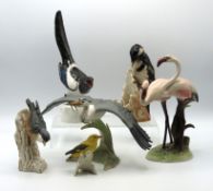 A collection of decorative bird ornaments includin
