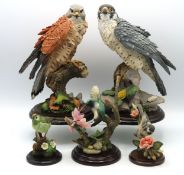 A collection of decorative Country Artist bird orn