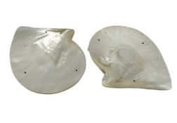 A pair of Chinese mother of pearl caviar serving d