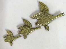 A set of brass graduated flying duck wall plaques,