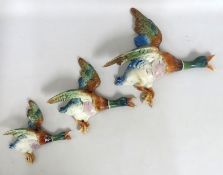 A Beswick style graduated flying duck wall plaque