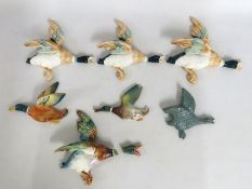 Seven flying ducks, one with head detached, larges