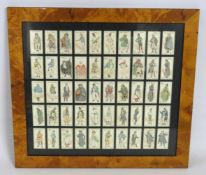 A framed set of Charles Dickens character Players