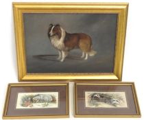 An oil of Rough Collie dog twinned with two Cash's