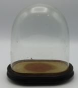 A Victorian glass dome, 240mm tall overall, glass