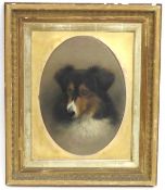 M. Jackson, a framed 19thC. oil of collie dog, ima